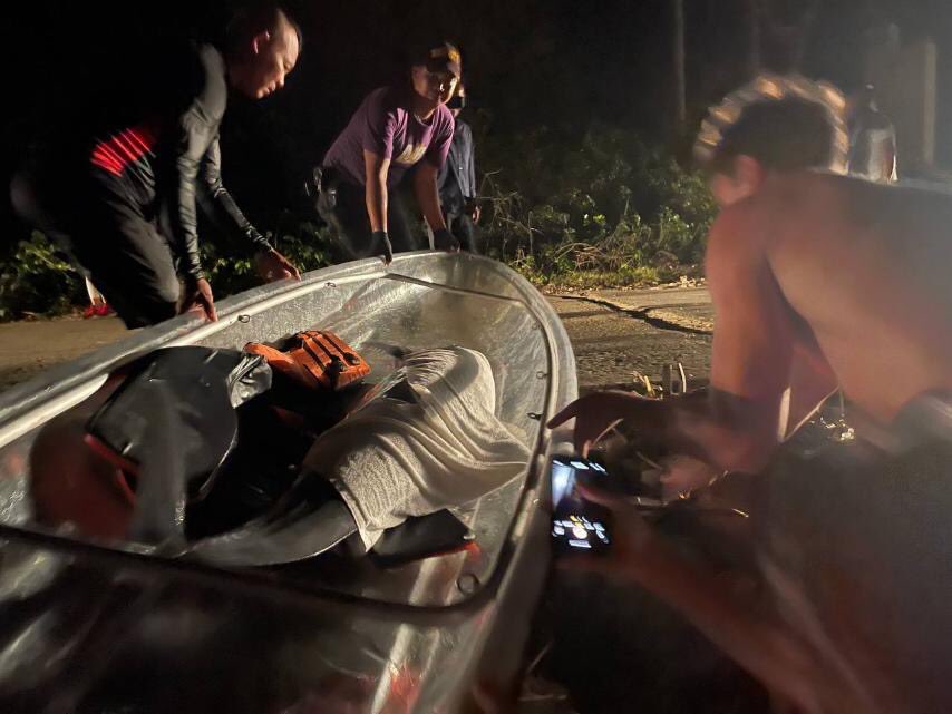 Dolphin rescue in Boracay Island