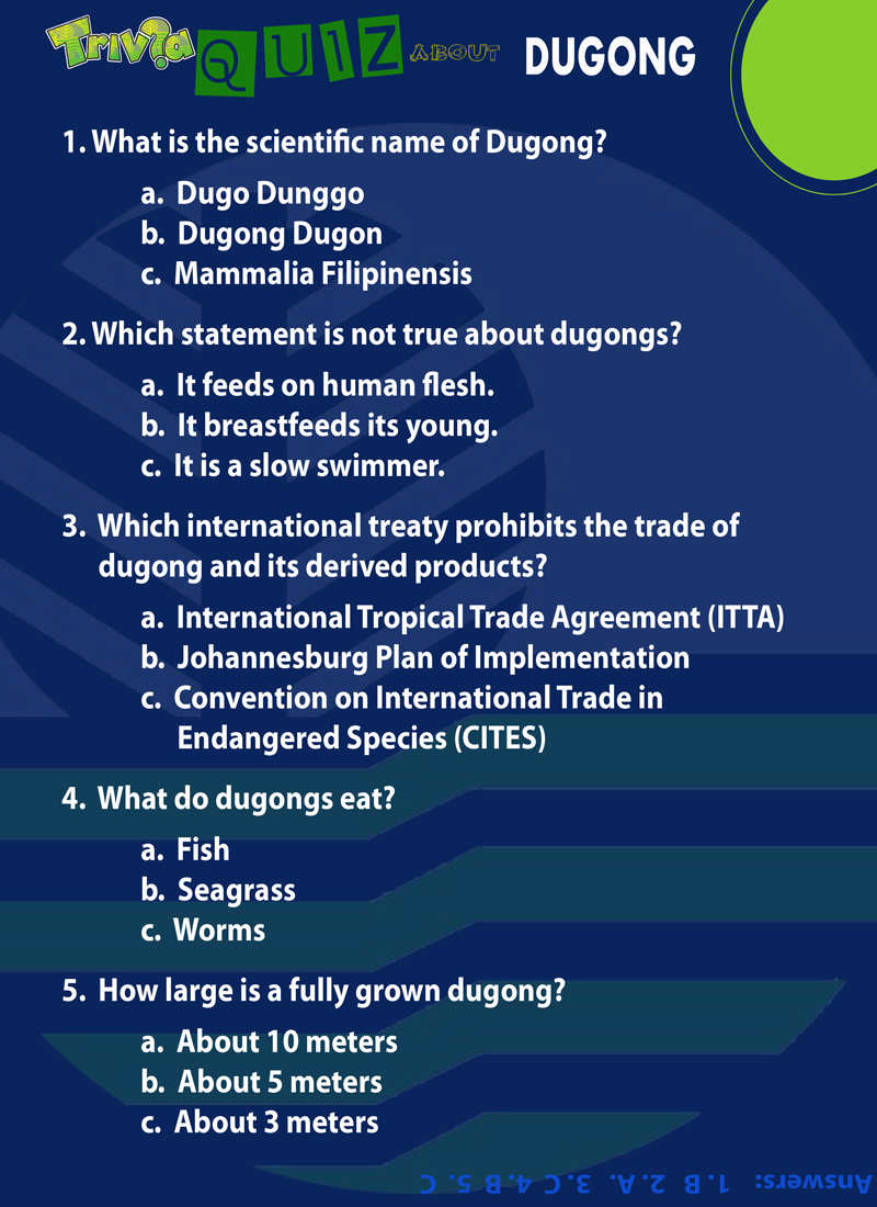 dugong quiz web